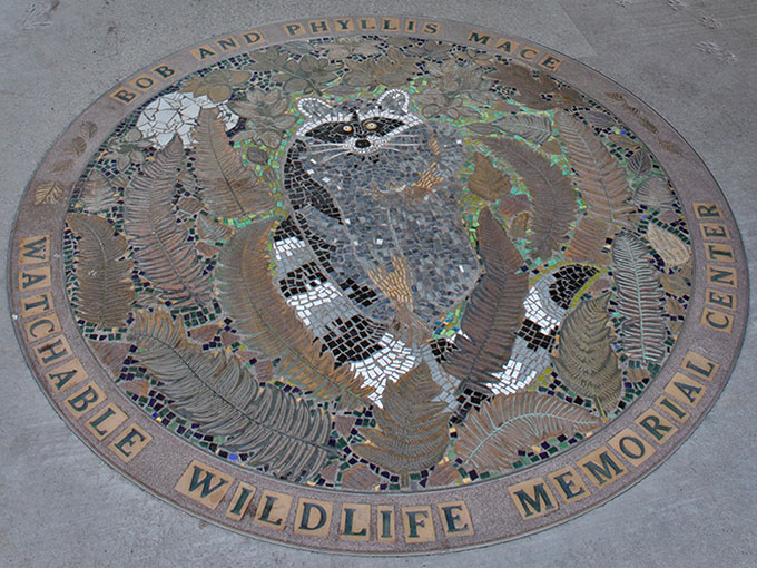 raccoon mosaic tile paving sculpture public art art for public spaces lilli ann rosenberg marvin rosenberg jackson county central point jacksonville oregon jeremy criswell wildlife