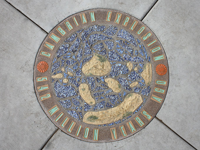 Oregon Hills Park public art project geologic time walk paving of Cambrian explosion